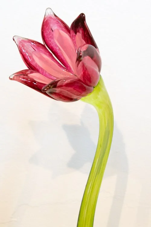 Pink Ruby Tulip — Rob Schouten Gallery & Sculpture Garden